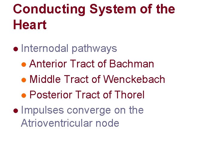 Conducting System of the Heart Internodal pathways l Anterior Tract of Bachman l Middle Conducting System of the Heart Internodal pathways l Anterior Tract of Bachman l Middle