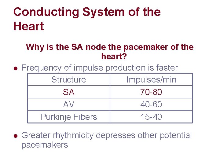 Conducting System of the Heart l l Why is the SA node the pacemaker Conducting System of the Heart l l Why is the SA node the pacemaker