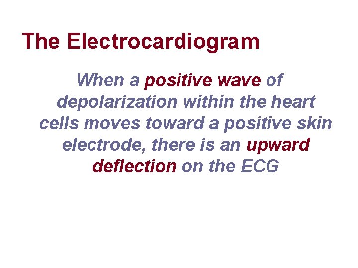 The Electrocardiogram When a positive wave of depolarization within the heart cells moves toward The Electrocardiogram When a positive wave of depolarization within the heart cells moves toward