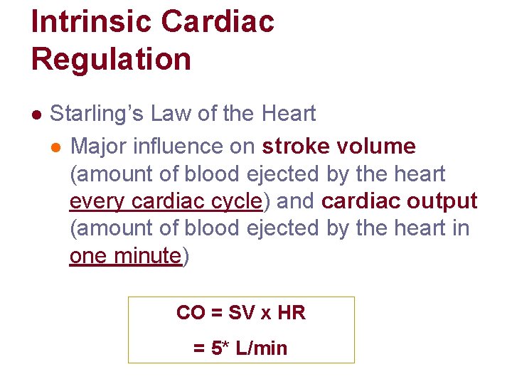 Intrinsic Cardiac Regulation l Starling’s Law of the Heart l Major influence on stroke Intrinsic Cardiac Regulation l Starling’s Law of the Heart l Major influence on stroke