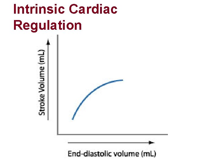 Intrinsic Cardiac Regulation Intrinsic Cardiac Regulation