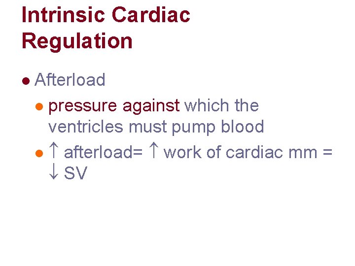 Intrinsic Cardiac Regulation l Afterload l pressure against which the ventricles must pump blood Intrinsic Cardiac Regulation l Afterload l pressure against which the ventricles must pump blood