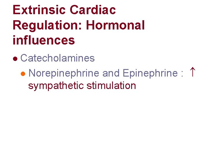 Extrinsic Cardiac Regulation: Hormonal influences l Catecholamines l Norepinephrine and Epinephrine : sympathetic stimulation Extrinsic Cardiac Regulation: Hormonal influences l Catecholamines l Norepinephrine and Epinephrine : sympathetic stimulation