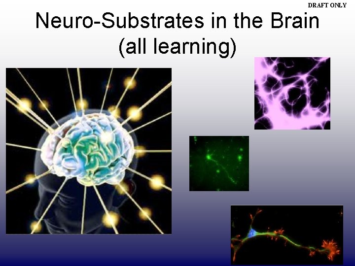 DRAFT ONLY Neuro-Substrates in the Brain (all learning) 