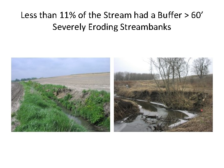 Less than 11% of the Stream had a Buffer > 60’ Severely Eroding Streambanks