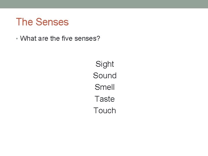 The Senses • What are the five senses? Sight Sound Smell Taste Touch 