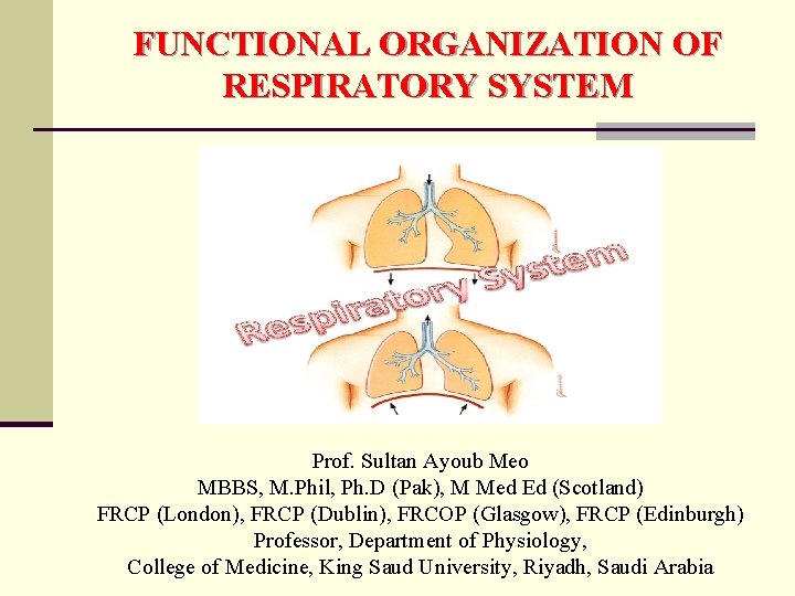 FUNCTIONAL ORGANIZATION OF RESPIRATORY SYSTEM Prof. Sultan Ayoub Meo MBBS, M. Phil, Ph. D