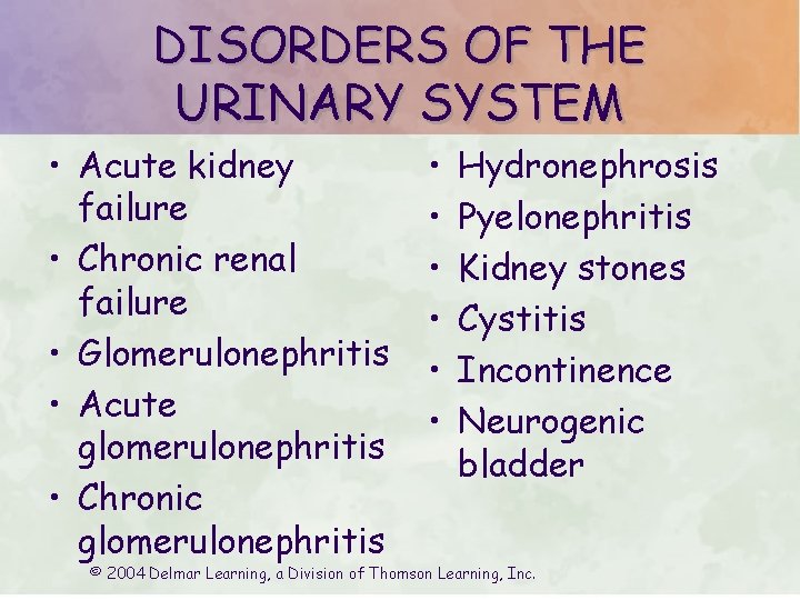 DISORDERS OF THE URINARY SYSTEM • Acute kidney failure • Chronic renal failure •