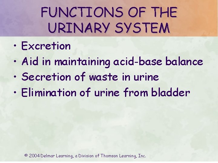 FUNCTIONS OF THE URINARY SYSTEM • • Excretion Aid in maintaining acid-base balance Secretion