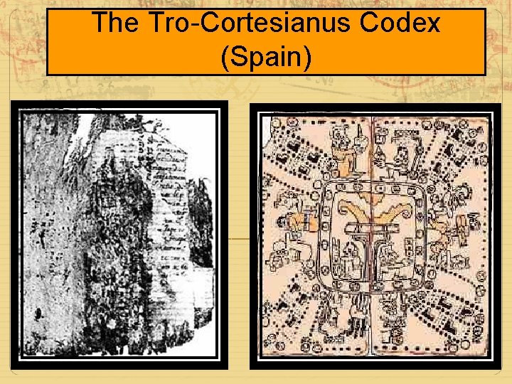 The Tro-Cortesianus Codex (Spain) 