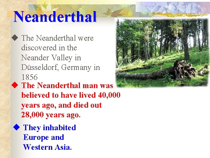 Neanderthal u The Neanderthal were discovered in the Neander Valley in Düsseldorf, Germany in