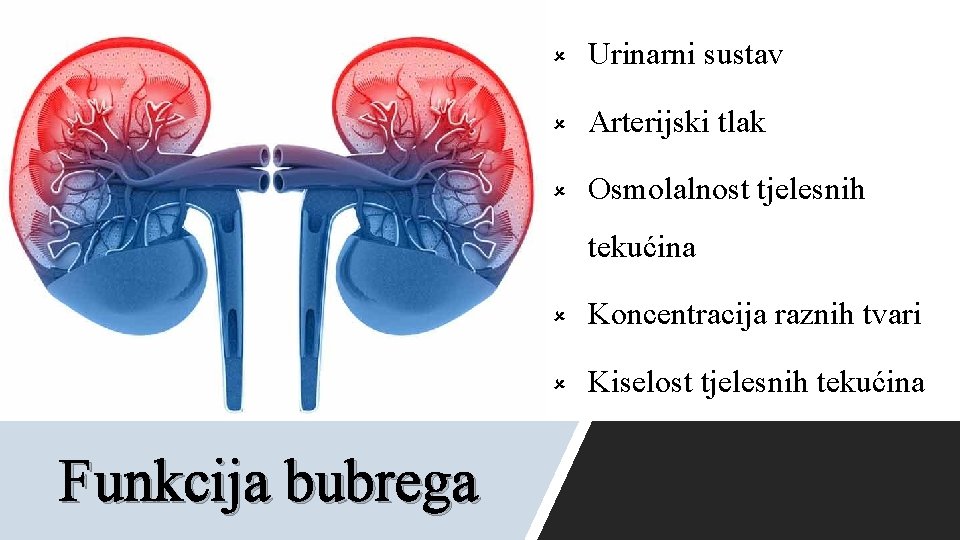 û Urinarni sustav û Arterijski tlak û Osmolalnost tjelesnih tekućina Funkcija bubrega û Koncentracija