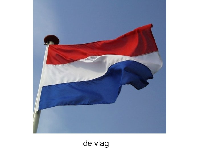 de vlag 