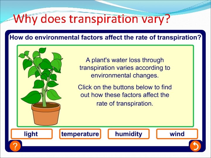 Why does transpiration vary? 