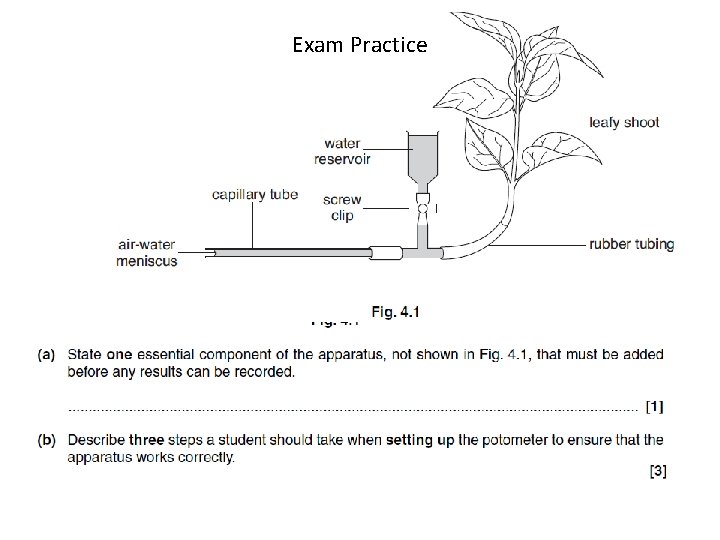 Exam Practice 