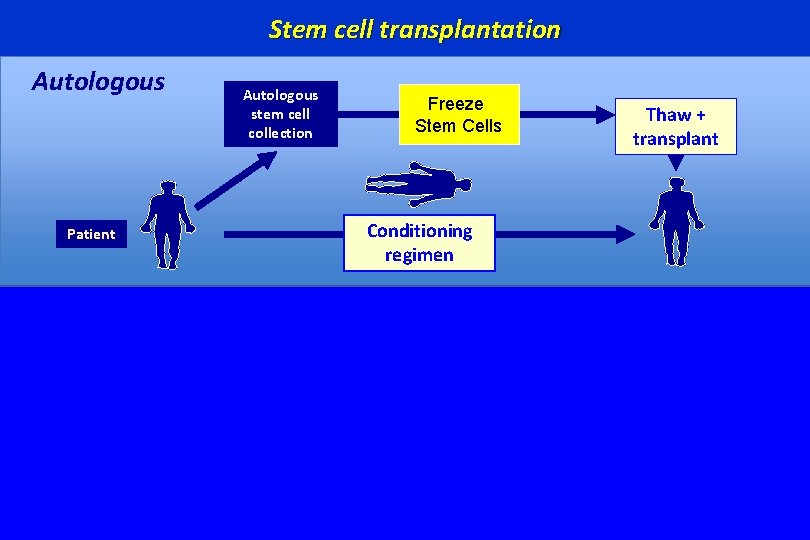 Stem cell transplantation Autologous Patient Autologous stem cell collection Freeze Stem Cells Thaw +