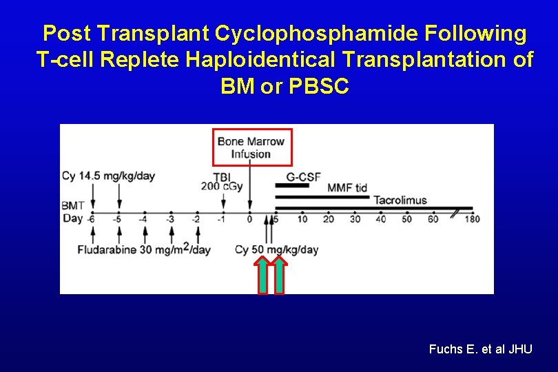 Post Transplant Cyclophosphamide Following T-cell Replete Haploidentical Transplantation of BM or PBSC Fuchs E.