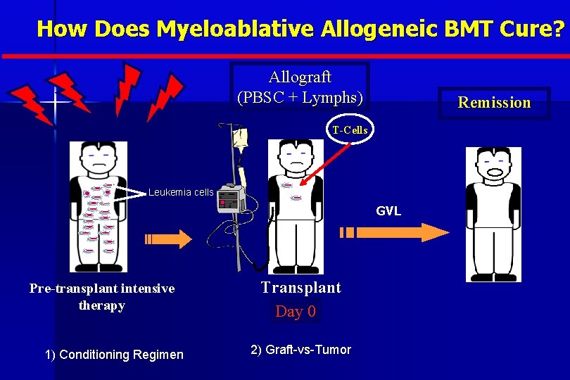 How Does Myeloablative Allogeneic BMT Cure? Allograft (PBSC + Lymphs) Remission T-Cells Leukemia cells