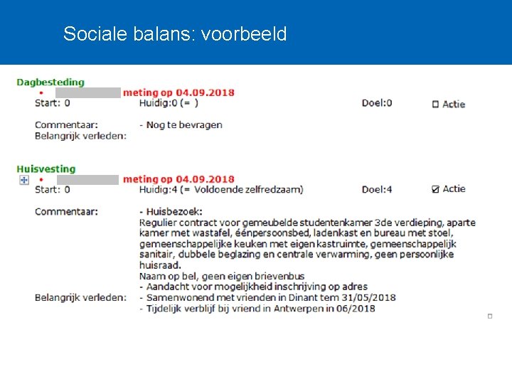 Sociale balans: voorbeeld Tonen sr online 