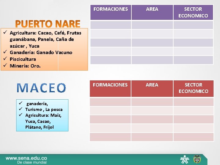 FORMACIONES AREA SECTOR ECONOMICO ü Agricultura: Cacao, Café, Frutas guanábana, Panela, Caña de azúcar