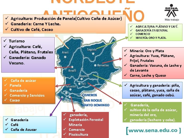 NORDESTE ANTIOQUEÑO ü Agricultura: Producción de Panela(Cultivo Caña de Azúcar) ü Ganadería: Carne Y