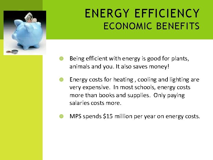 ENERGY EFFICIENCY ECONOMIC BENEFITS Being efficient with energy is good for plants, animals and