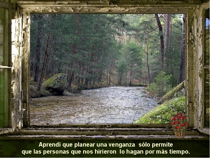 Aprendì que planear una venganza sòlo permite que las personas que nos hirieron lo