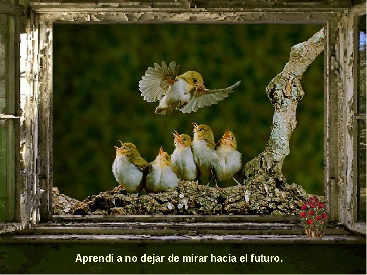 Aprendi a no dejar de mirar hacia el futuro. 
