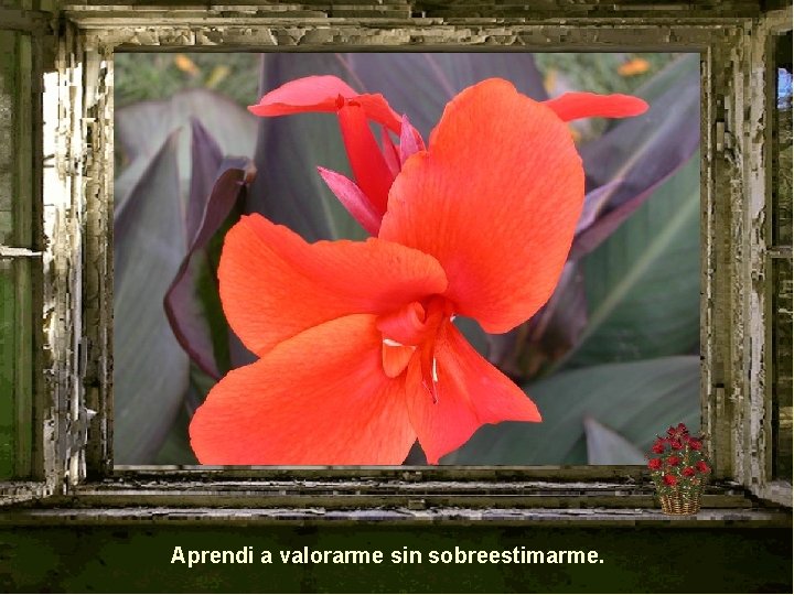 Aprendi a valorarme sin sobreestimarme. 