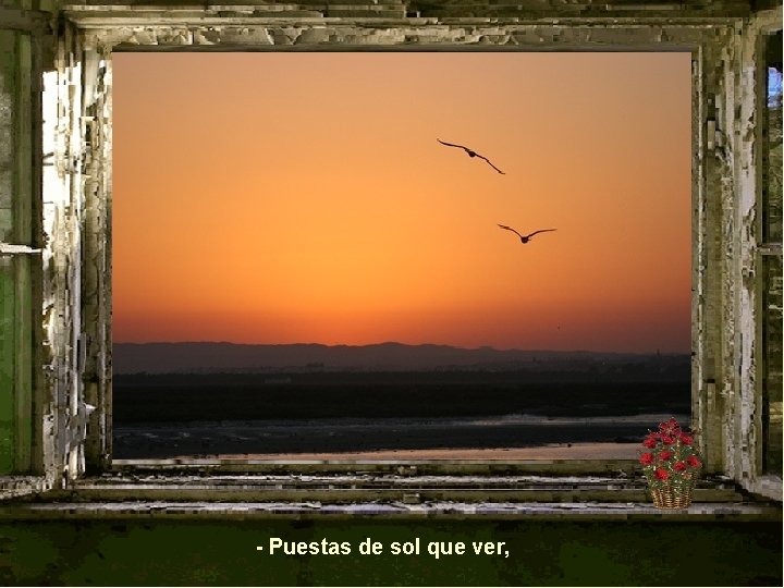 - Puestas de sol que ver, 