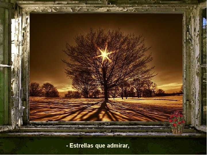 - Estrellas que admirar, 