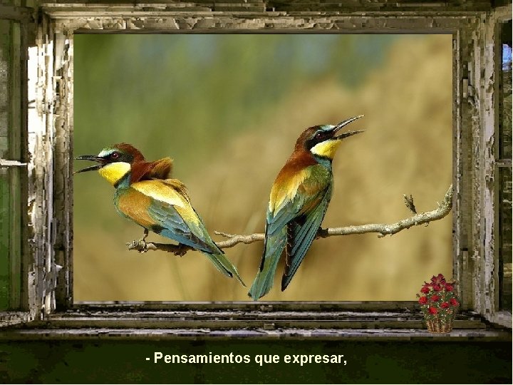 - Pensamientos que expresar, 