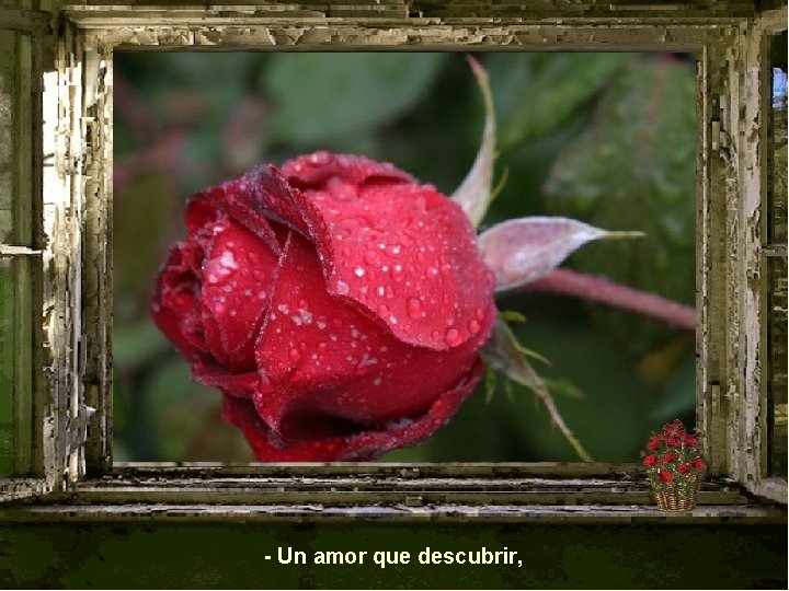- Un amor que descubrir, 