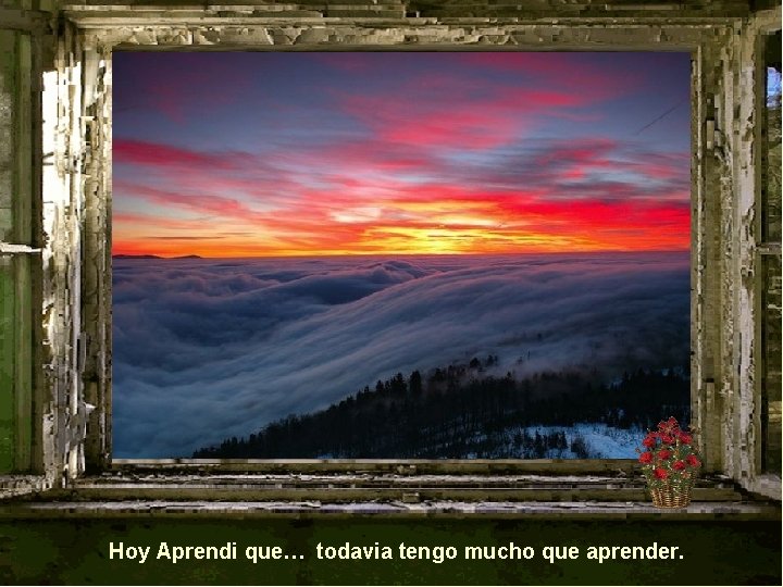 Hoy Aprendi que… todavia tengo mucho que aprender. 