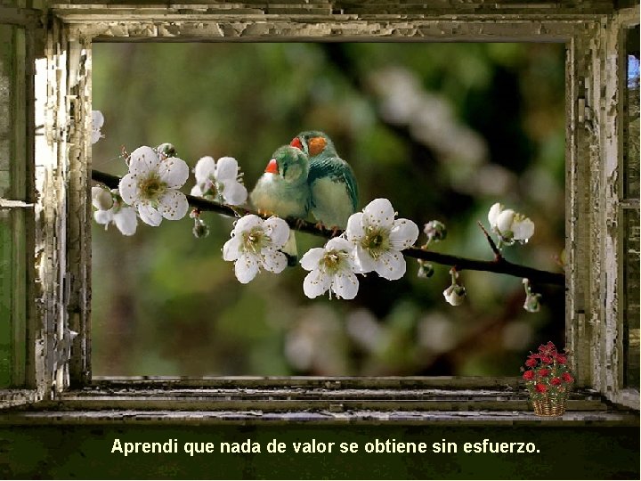 Aprendi que nada de valor se obtiene sin esfuerzo. 