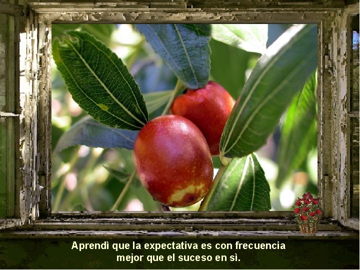Aprendì que la expectativa es con frecuencia mejor que el suceso en sì. 