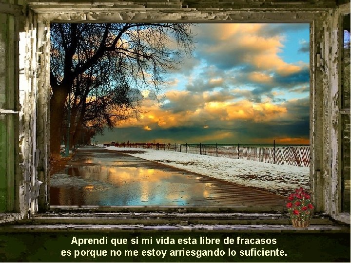 Aprendi que si mi vida esta libre de fracasos es porque no me estoy