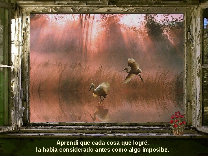 Aprendi que cada cosa que logré, la habia considerado antes como algo imposibe. 