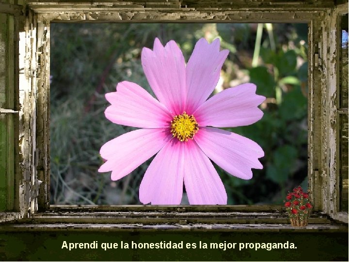 Aprendi que la honestidad es la mejor propaganda. 