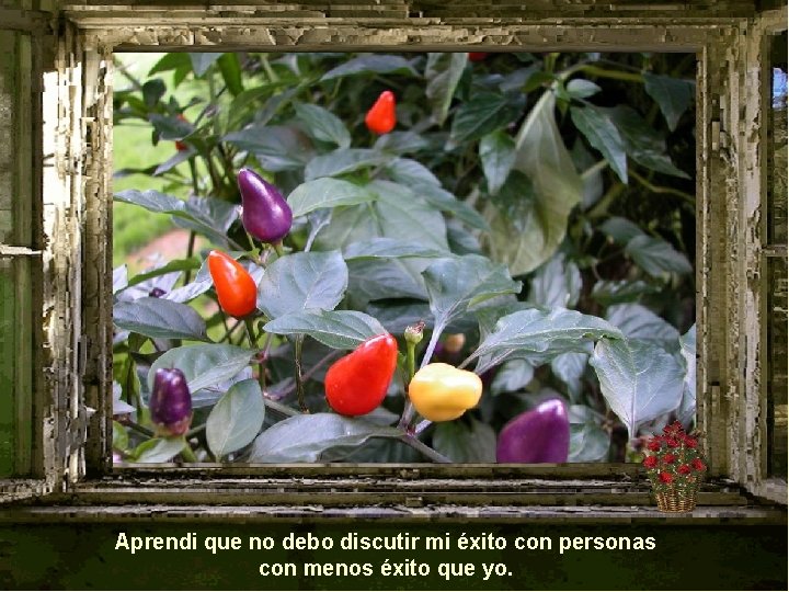 Aprendi que no debo discutir mi éxito con personas con menos éxito que yo.