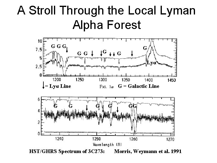 A Stroll Through the Local Lyman Alpha Forest GGG G G Lyα = Lyα