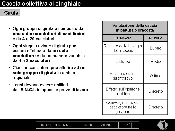 Caccia collettiva al cinghiale Girata Valutazione della caccia in battuta o braccata • Ogni