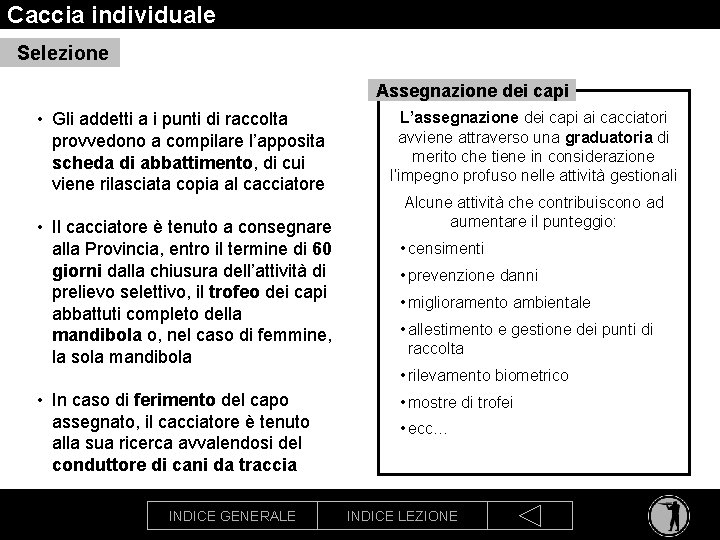 Caccia individuale Selezione Assegnazione dei capi • Gli addetti a i punti di raccolta