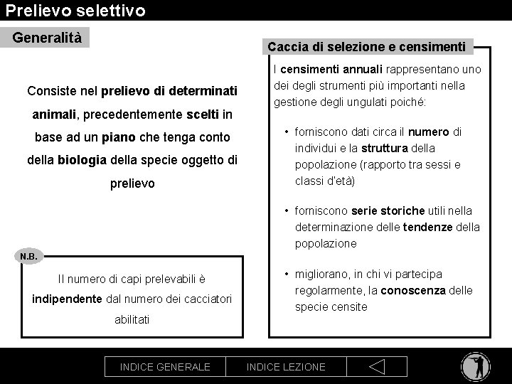 Prelievo selettivo Generalità Caccia di selezione e censimenti Consiste nel prelievo di determinati animali,