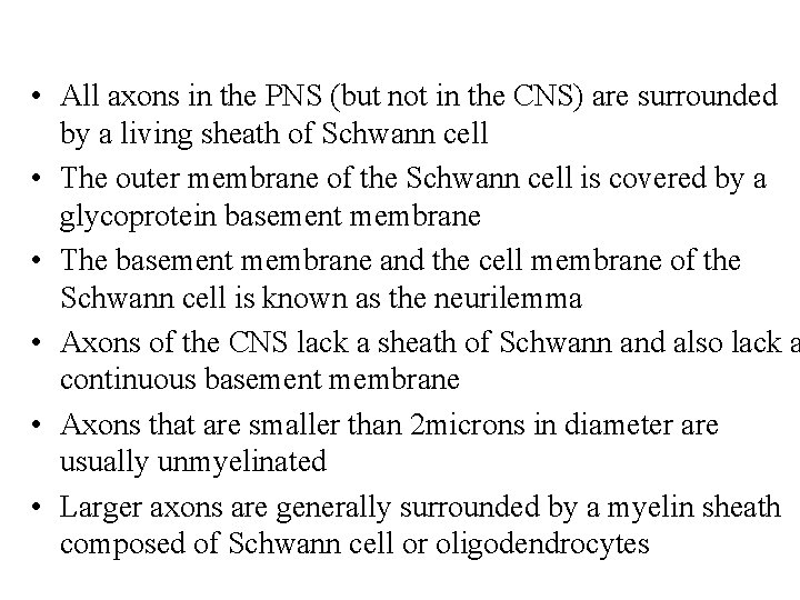  • All axons in the PNS (but not in the CNS) are surrounded