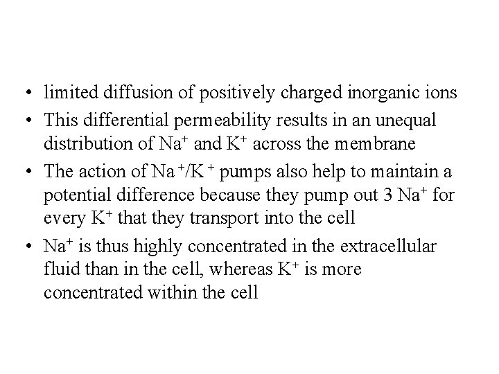  • limited diffusion of positively charged inorganic ions • This differential permeability results