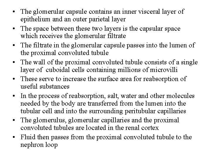  • The glomerular capsule contains an inner visceral layer of epithelium and an