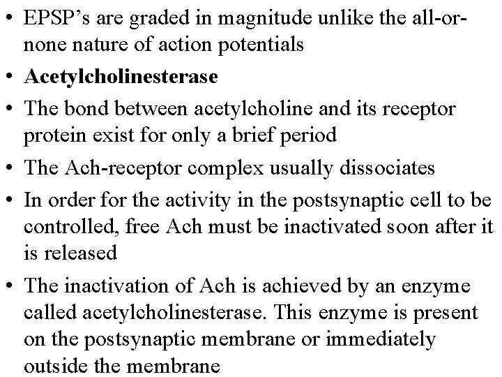  • EPSP’s are graded in magnitude unlike the all-ornone nature of action potentials