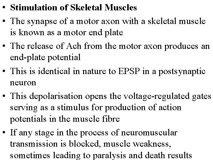  • Stimulation of Skeletal Muscles • The synapse of a motor axon with