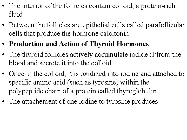  • The interior of the follicles contain colloid, a protein-rich fluid • Between